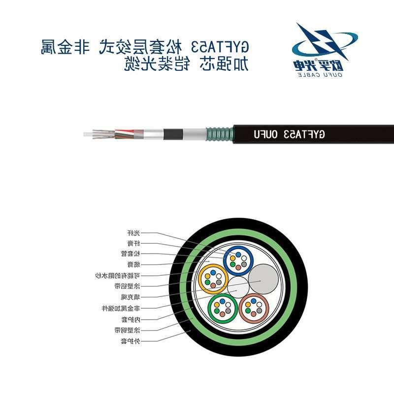 玉树藏族自治州GYFTA53光缆